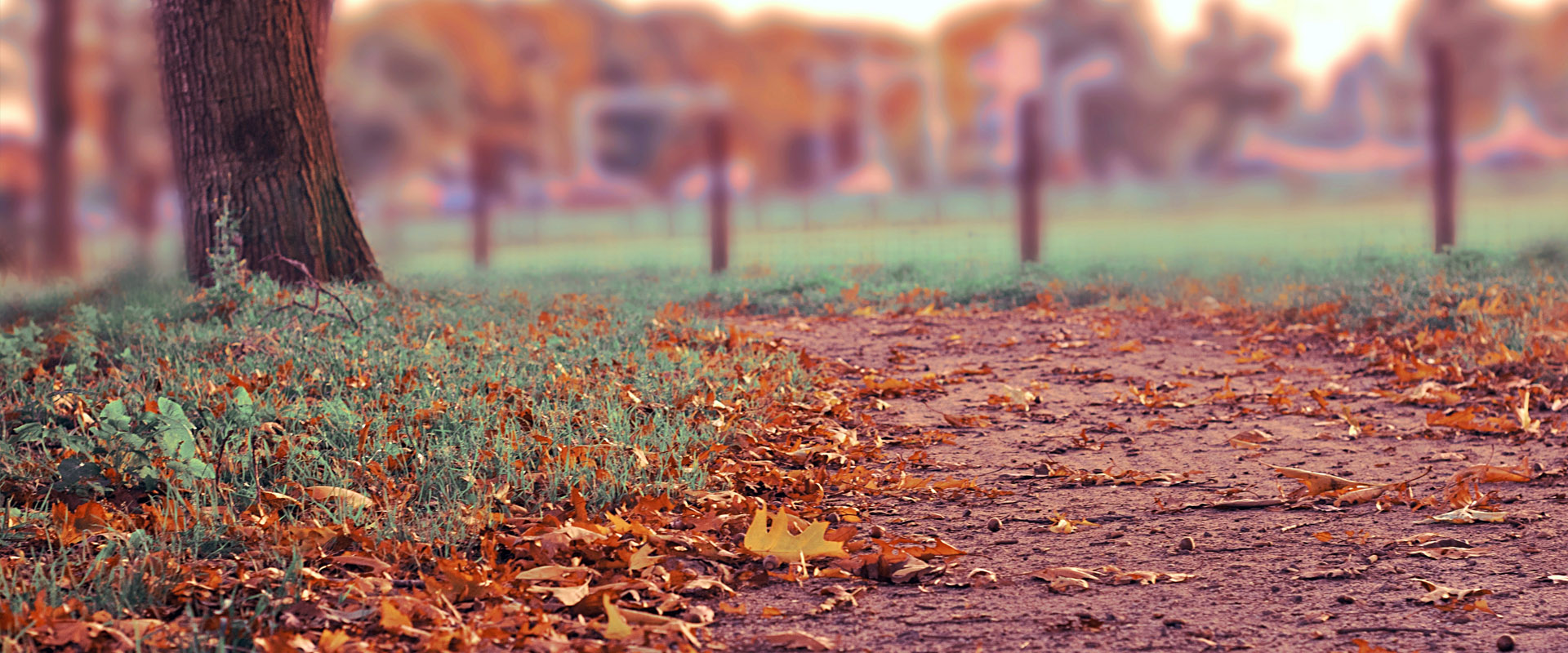 手机版ddos攻击器