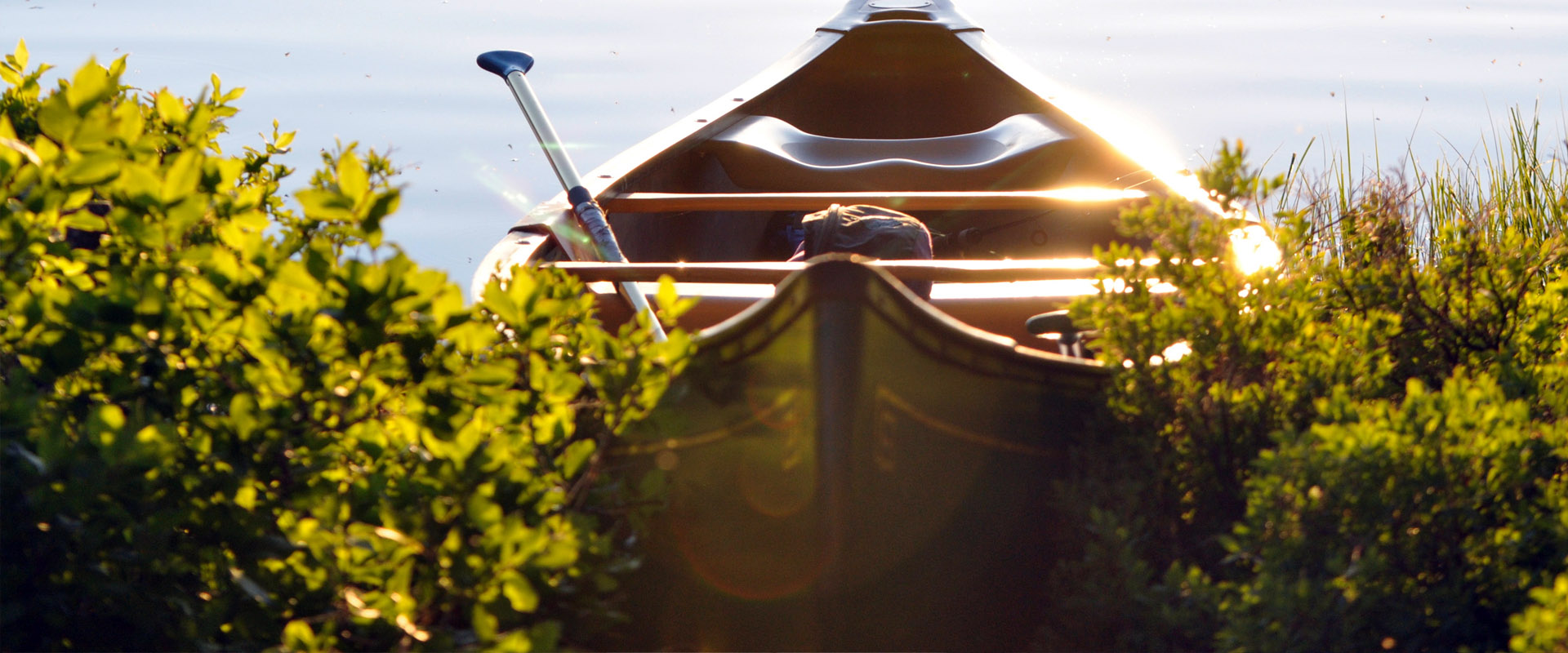 专业工具集的Web漏洞扫描工具