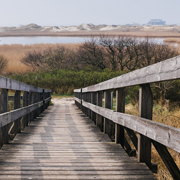 会员平台正规的DDOS攻击测试